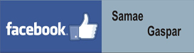 bannertwitter