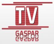 Carro pega fogo no Santa Terezinha